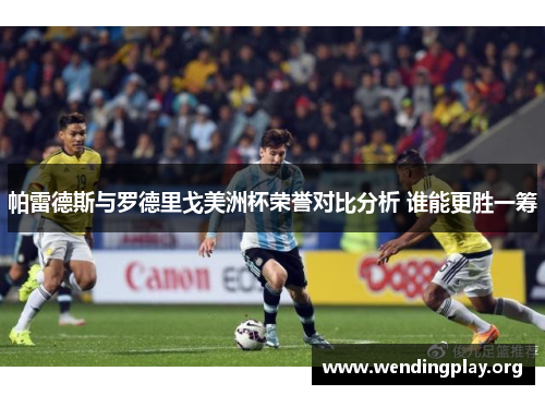 帕雷德斯与罗德里戈美洲杯荣誉对比分析 谁能更胜一筹