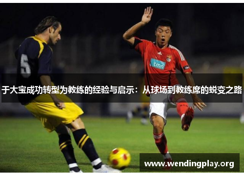 于大宝成功转型为教练的经验与启示：从球场到教练席的蜕变之路