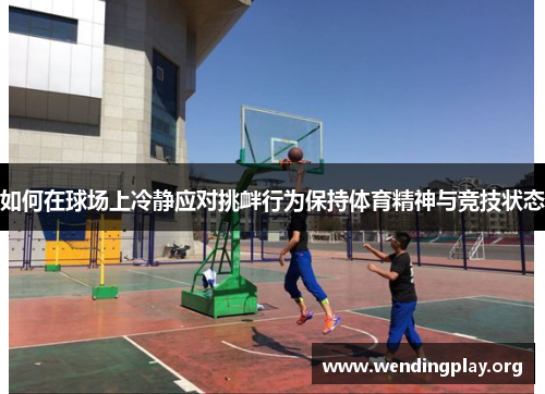 如何在球场上冷静应对挑衅行为保持体育精神与竞技状态
