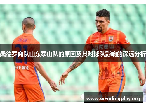 桑德罗离队山东泰山队的原因及其对球队影响的深远分析