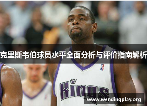 克里斯韦伯球员水平全面分析与评价指南解析