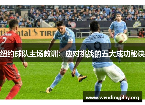 纽约球队主场教训：应对挑战的五大成功秘诀