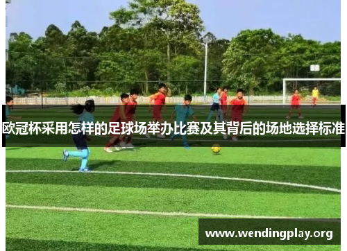 欧冠杯采用怎样的足球场举办比赛及其背后的场地选择标准