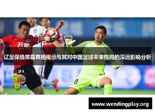 辽足保级黑幕真相揭示与其对中国足球未来格局的深远影响分析