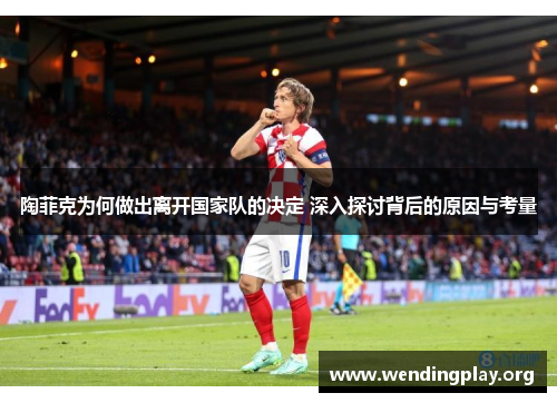 陶菲克为何做出离开国家队的决定 深入探讨背后的原因与考量