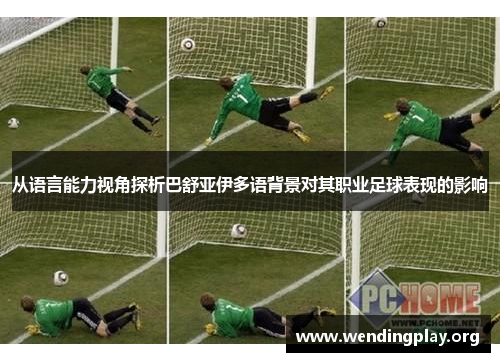 从语言能力视角探析巴舒亚伊多语背景对其职业足球表现的影响