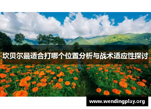 坎贝尔最适合打哪个位置分析与战术适应性探讨