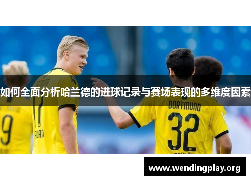 如何全面分析哈兰德的进球记录与赛场表现的多维度因素