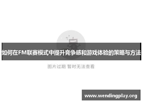 如何在FM联赛模式中提升竞争感和游戏体验的策略与方法 如何在FM联赛模式中提升竞争感和游戏体验的策略与方法