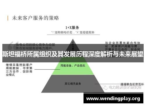 斯坦福桥所属组织及其发展历程深度解析与未来展望 斯坦福桥所属组织及其发展历程深度解析与未来展望